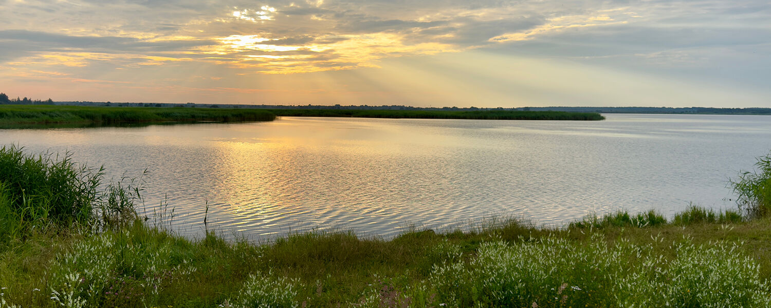 A still landscape at dusk